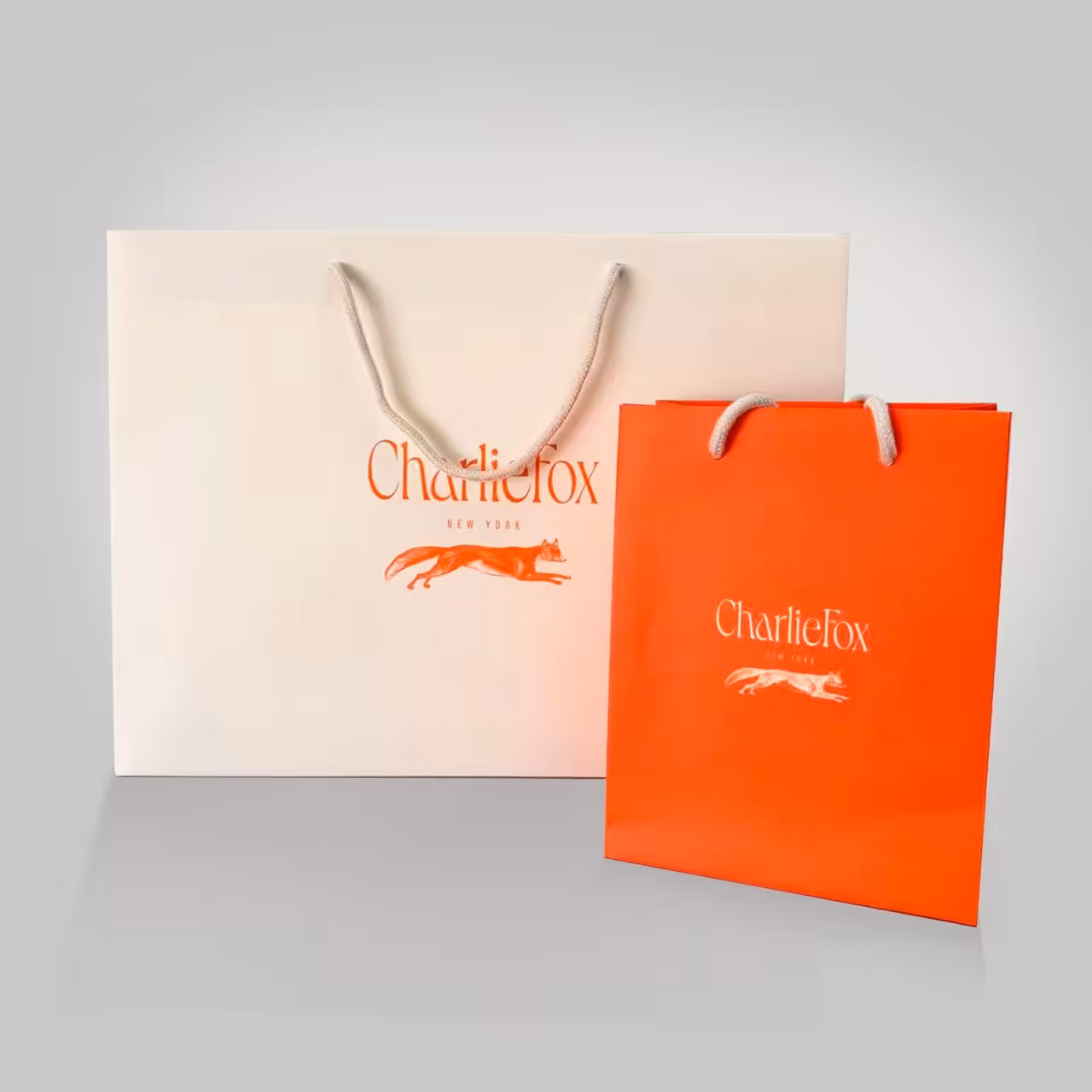 Two branded paper shopping bags with rope handles
