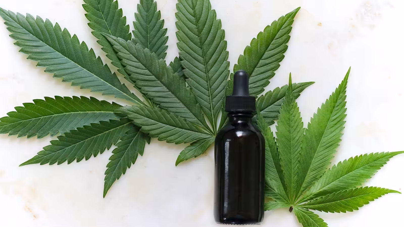 cbd cbd