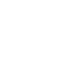 VSL-Packaging-logo